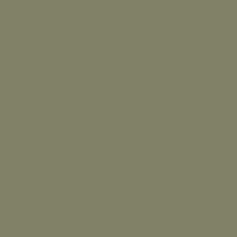 Benjamin Moore HC-112 "Tate Olive"
