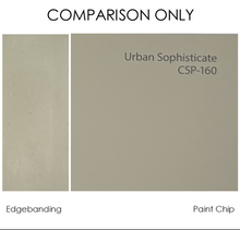 Benjamin Moore CSP-160 "Urban Sophisticate"